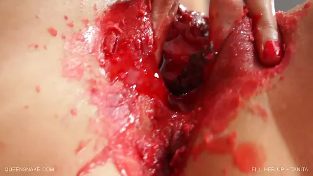 جهان خود را عبور لینک کانال های فیلم سکسی خواهد داد
